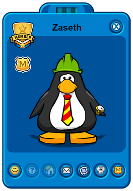 Zaseth