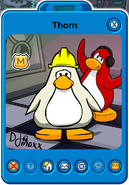 Thorn Player Card - Late October 2019 - Club Penguin Rewritten