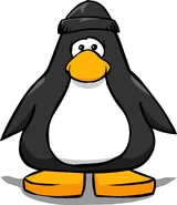 Black Toque PC.png (125 KB) On a Player Card.