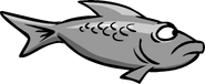 Gray Fish