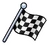 Checkered Flag Pin