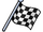 Checkered Flag Pin