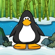 Bamboo River Background PC.png (131 KB) On a Player Card.