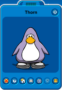 Thorn Player Card - Mid December 2020 - Club Penguin Rewritten