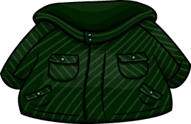Green Winter Jacket
