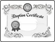 Adoption Certificate.