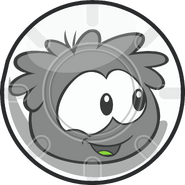 Black Puffle in a Puffle Ball.