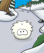 The White Puffle Card-Jitsu Power Card.