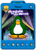 Thorn Player Card - Mid January 2022 - Club Penguin Rewritten
