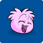 The transformation during the Puffle Party 2020 on a Player Card.