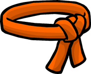 The Orange Ninja Belt