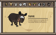 Endangered Animals Tapir