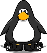 Black Bunny Slippers PC.png (152 KB) On a Player Card.
