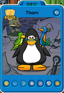 Thorn Player Card - Mid December 2018 - Club Penguin Rewritten (2)