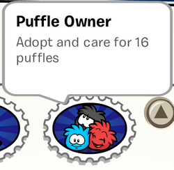Club Penguin's creator spoke on its return, and brb I haven't checked on my  puffles since 2012