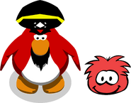 Rockhopper and his puffle Yarr in-game.