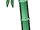 Bamboo Stalks