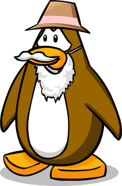 Brown Cowboy Hat, Club Penguin Rewritten Wiki