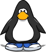 Blue Sneakers PC.png (136 KB) On a Player Card.