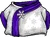 Purple Blizzard Wizard Robe