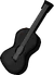 Black Acoustic Guitar