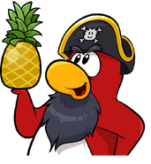 Rockhopper Ananas