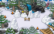Juillet - Festival des Neiges 2015 (en construction)
