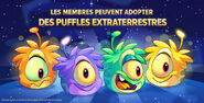 1er écran pour les Puffles Aliens