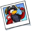 Rockhopper sortant la clé des Quartiers du Capitaine de sa barbe