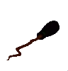 Broom Transparent.png