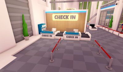 Airport Check in