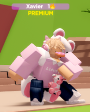 Premium