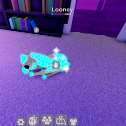 Club Roblox Wiki Fandom