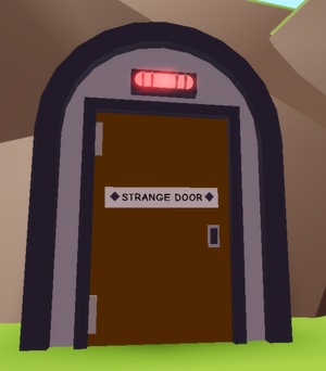 strange door entrance