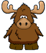 Moose