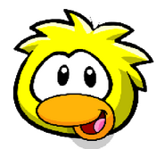 An yellow Duckle.