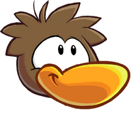 A brown Duckle.