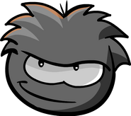 BlackPuffle2 0000000