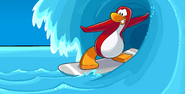 A penguin "shooting the tube."