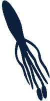 Giant Squid!