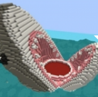 Sharky.png