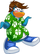 Cool Hawaiian Shirt, Club Penguin Rewritten Wiki