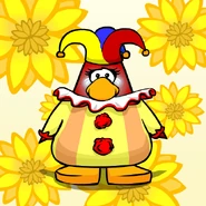 Actual Tarjeta de Squakynose