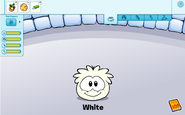 The White Puffle caring card