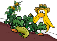 CPT 236 watering garden.png (766 KB) As seen in issue 236 of the Club Penguin Times