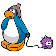 A penguin wearing the Earflap Cap while walking a Purple Puffle