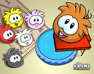A wallpaper of the orange puffle playing with other puffles