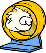 A White Puffle using the Running Wheel.