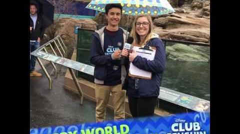 World Penguin Day Aquarium Recap Disney Club Penguin Island