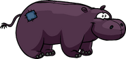 Hippopotamus